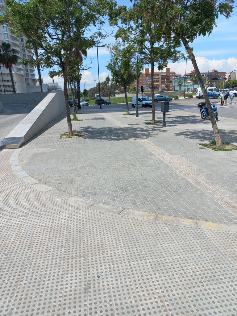 Itinerario de aproximación amplio y con anchura superior a 1,5m sin obstáculos. Alcorques enrasados y mobiliario urbano alineado.