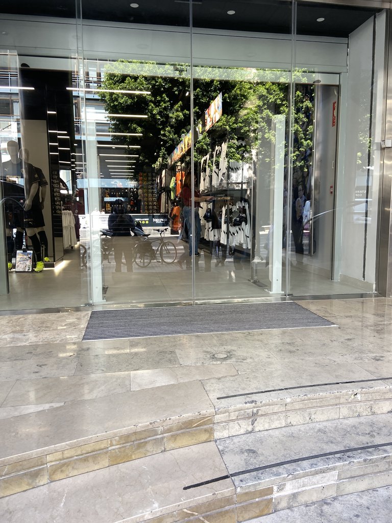 Puertas de acceso al establecimiento.