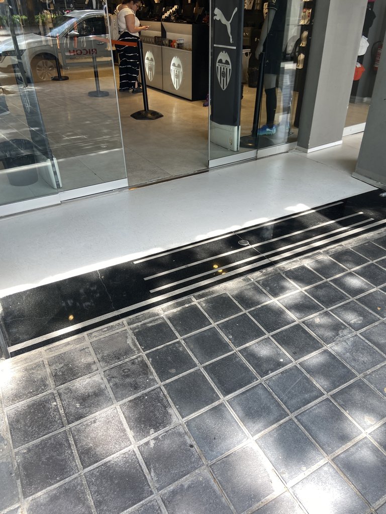 Acceso llano al establecimiento.