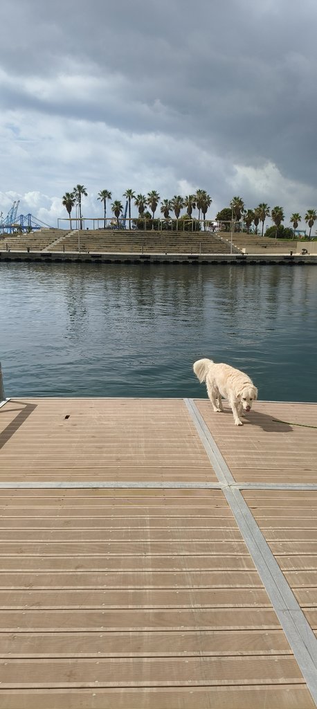 Rampa de acceso a la zona donde se inician las actividades