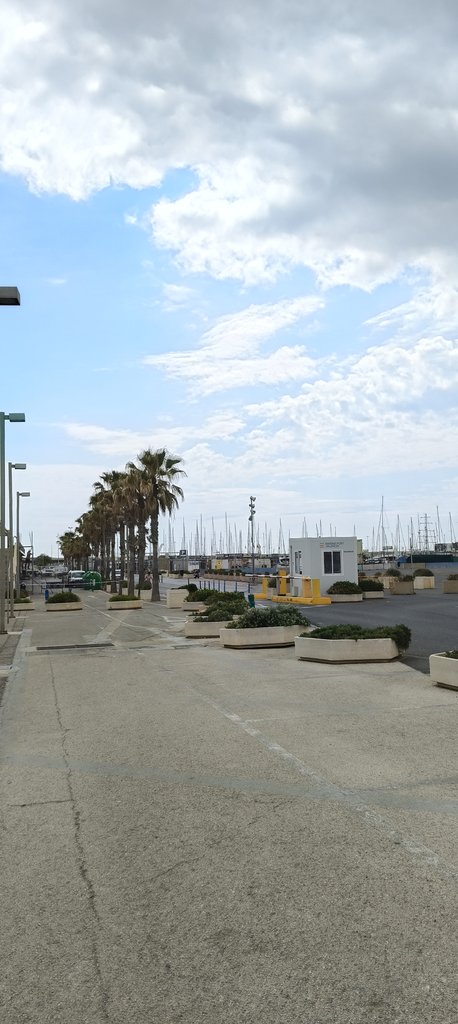 Acceso plano y ancho desde el acceso al puerto hasta el lugar de recepción para la actividad