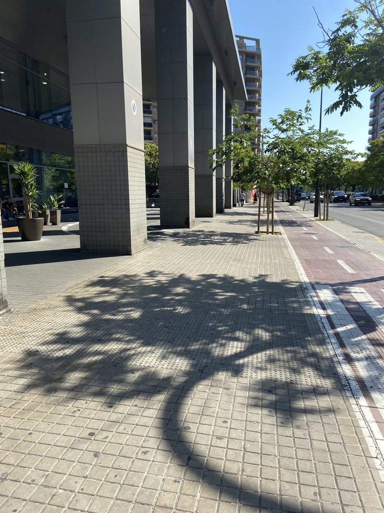 Accesibilidad exterior.