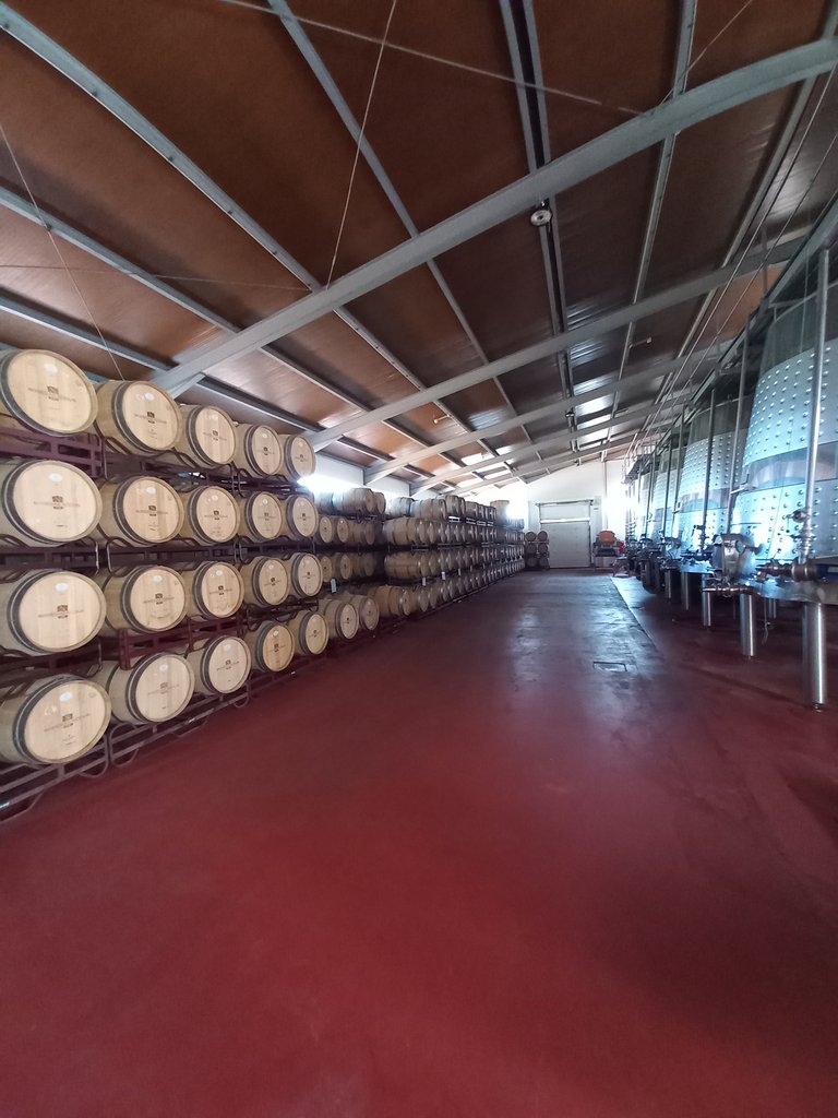 Itinerario interior libre de obstáculos y con amplitud.