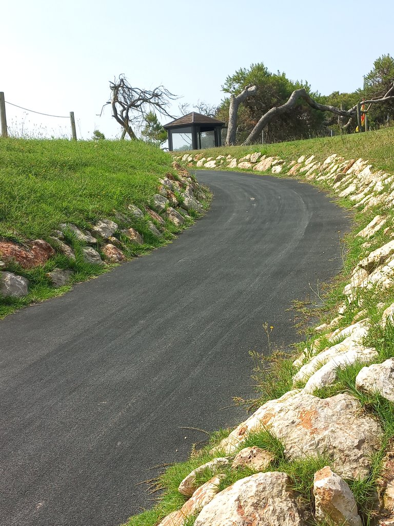 Pavimento enrasado y compacto.