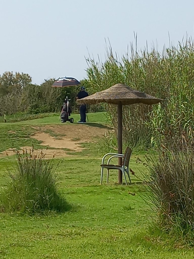 Zonas de descanso durante todo el recorrido.