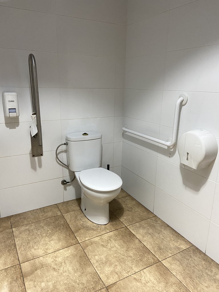WC adaptado en baños comunes con barras de apoyo.