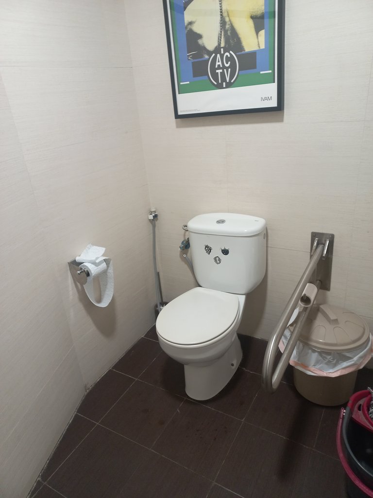 Inodoro adaptado con barra abatible lateral.