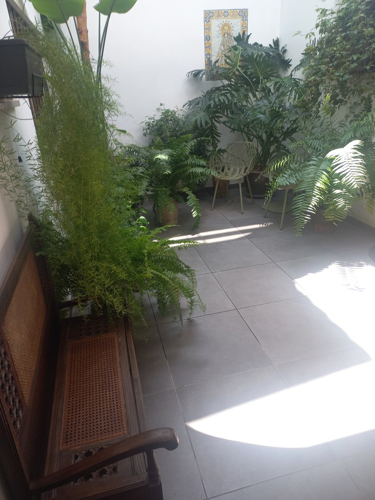 Patio zona común con zona de descanso.