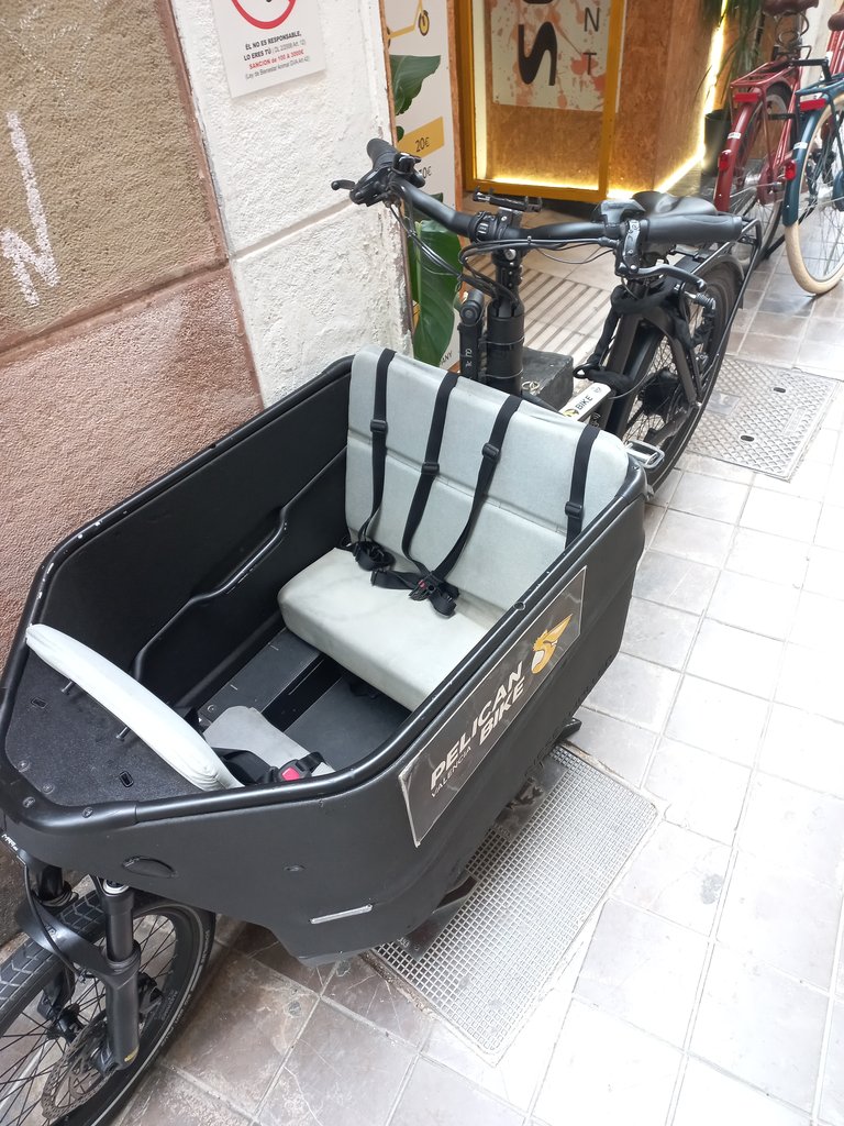 Modelos bicicletas adaptadas con habitáculo.