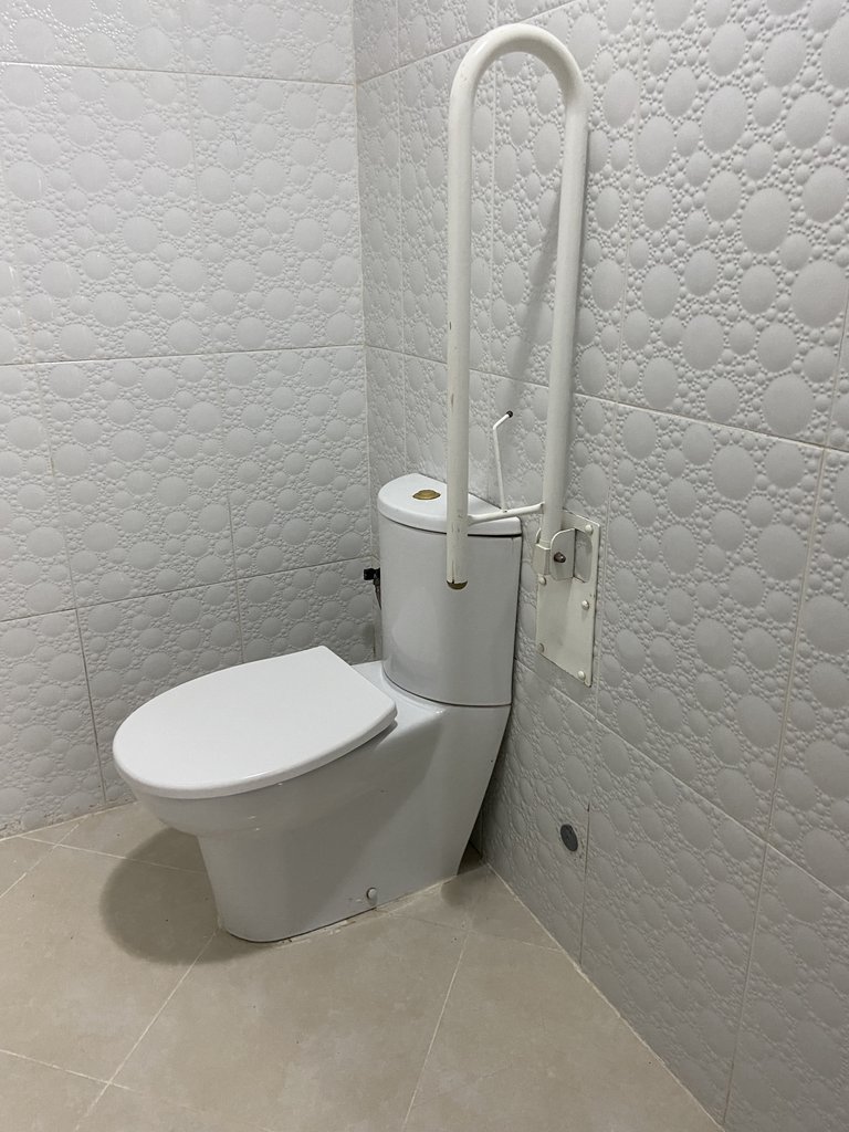 WC accesible con barras de apoyo.