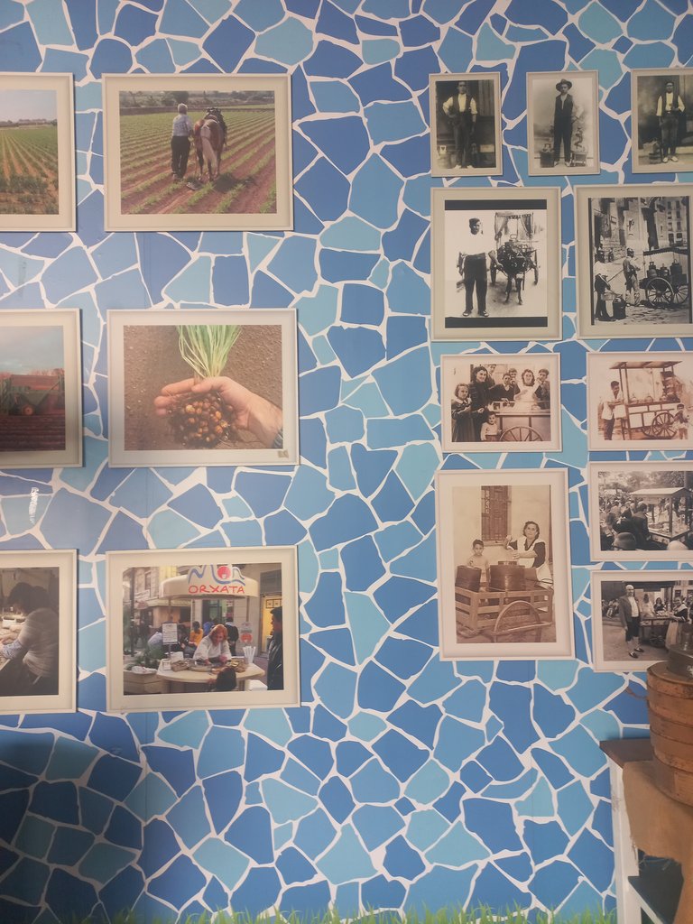 Información complementaria a través de fotografías.