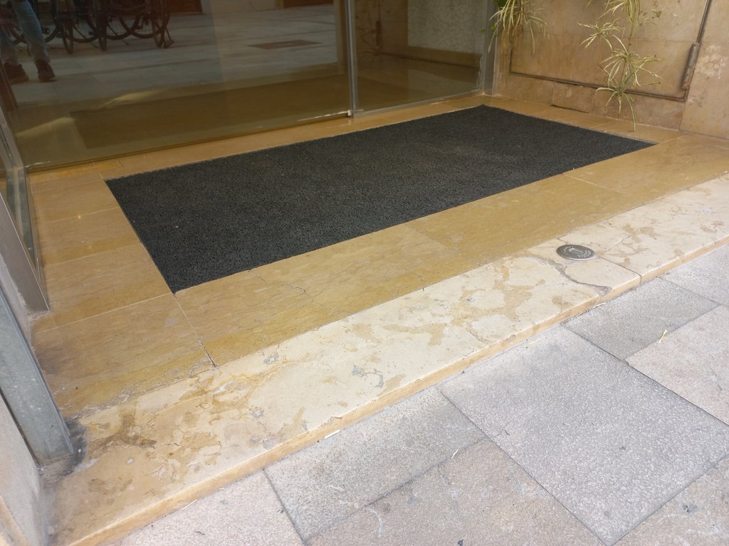 Acceso principal llano y libre de obstáculos con puerta automática.