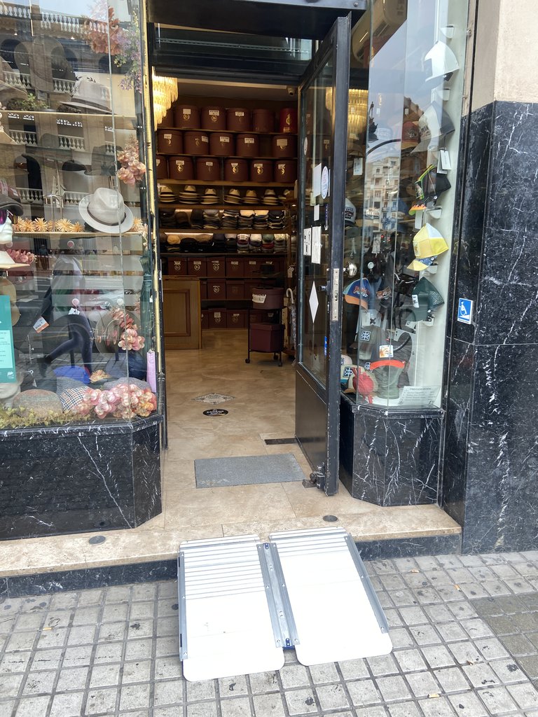 Mobile ramp for access to the establishment.