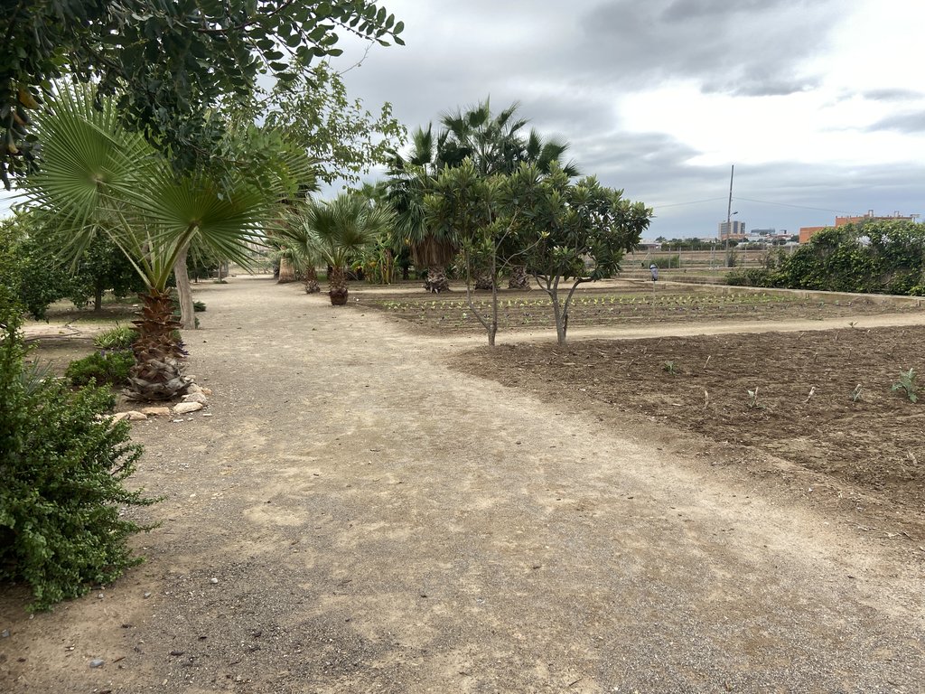 Accessible passage area with ample space and a proper drainage system for the correct circulation of all types of users