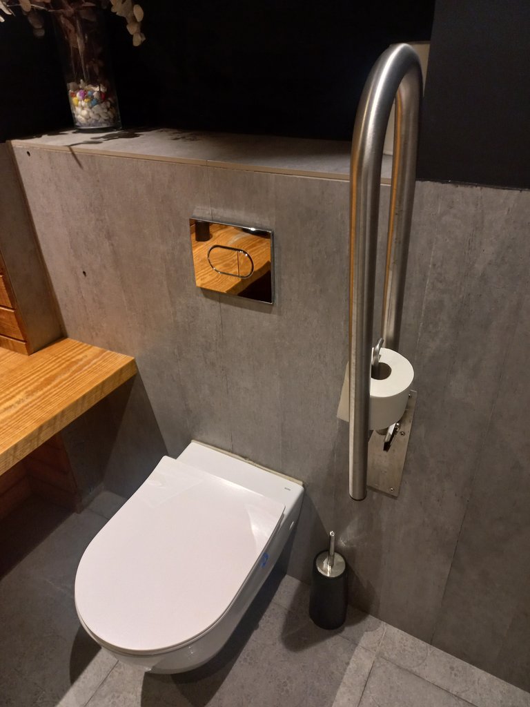 Bany adaptat equipat amb barres abatibles i zona lliure d'obstacles.