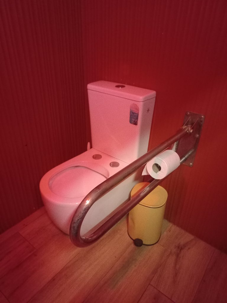 Disponibilitat de bany adaptat amb barres abatibles al vàter.