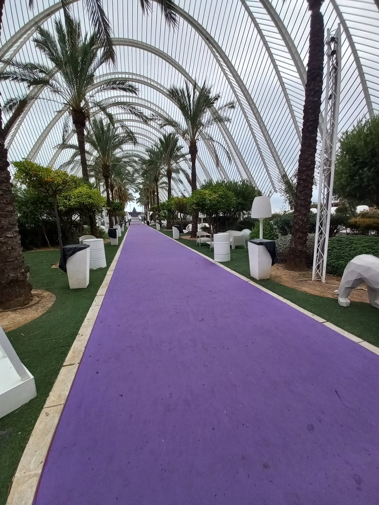 Recorregut interior ben definit, lliure d'obstacles i identificat cromàticament.