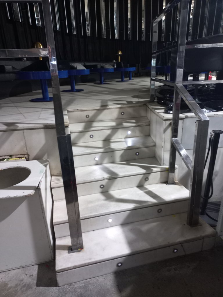 Handrails on stairs accessing the VIP area.