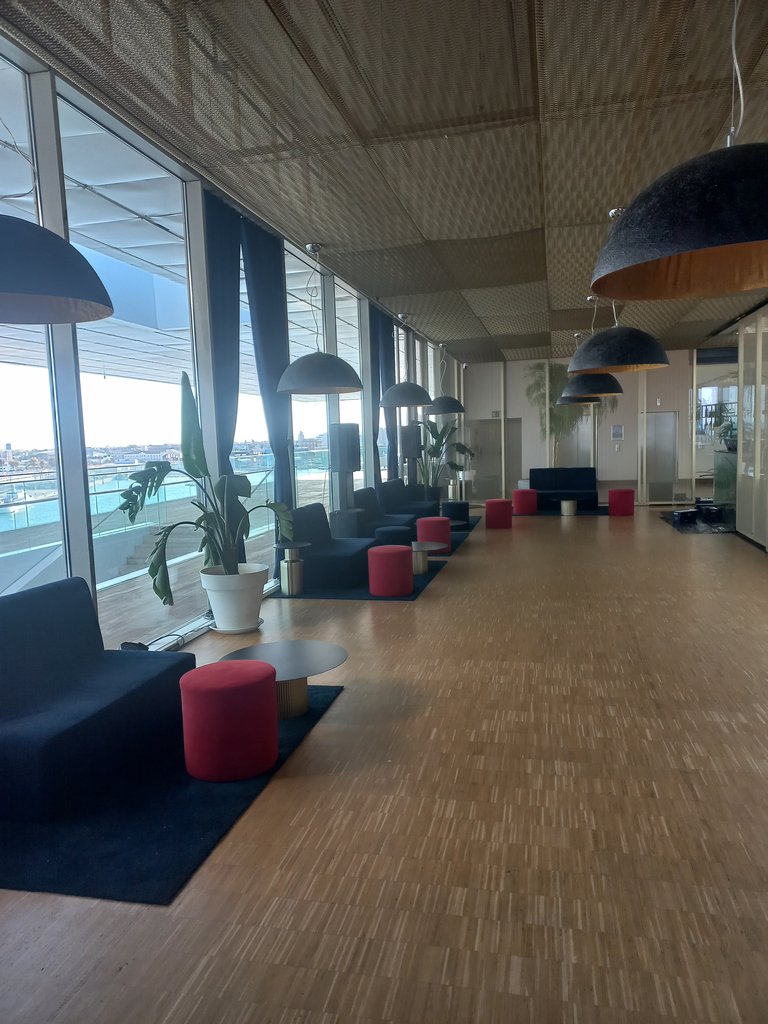 Recorridos definidos a través de disposición longitudinal de equipamiento y mobiliario.