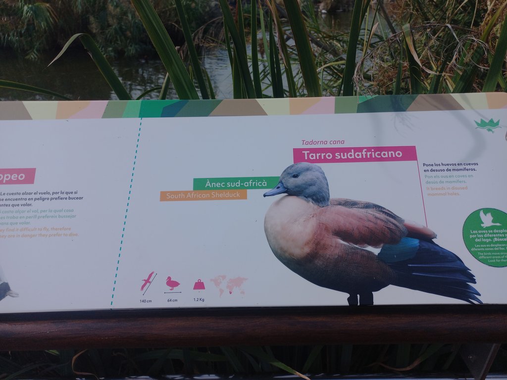 Cartells explicatius mitjançant composició d'imatge, pictogrames i text.