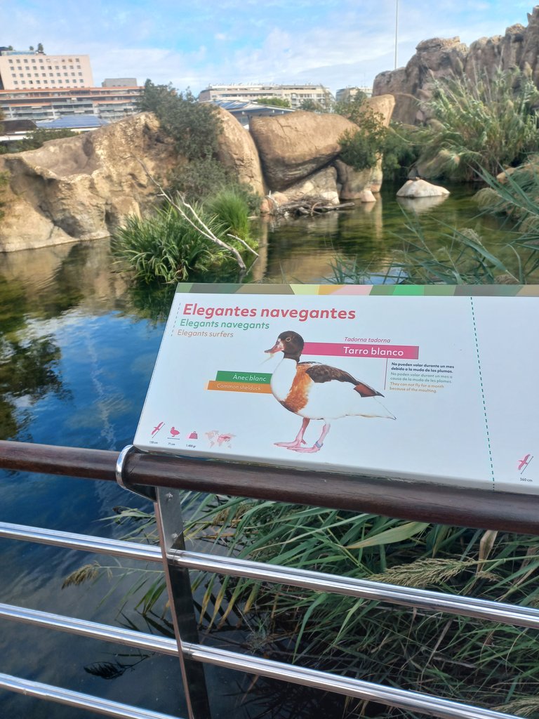 Il·luminació natural.