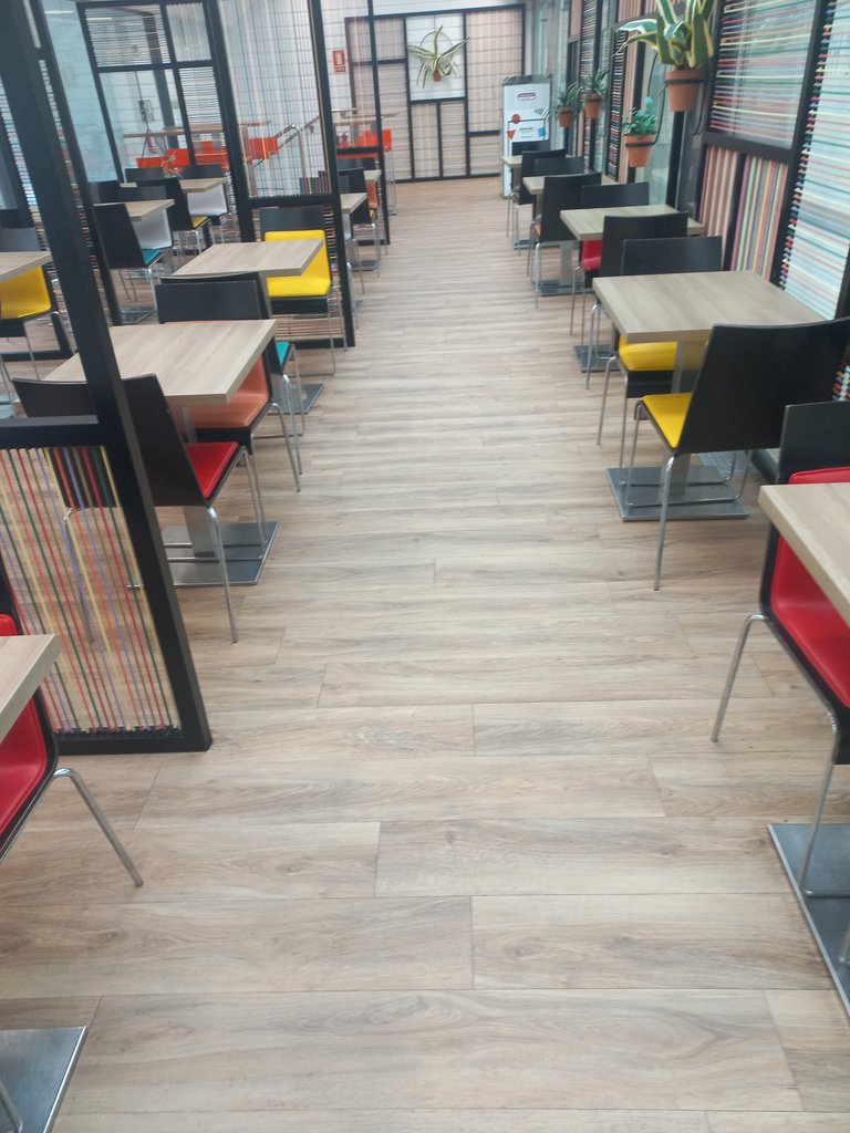 Iluminación homogénea y sin zonas de sombra ni elementos que emitan reflejos o destellos.