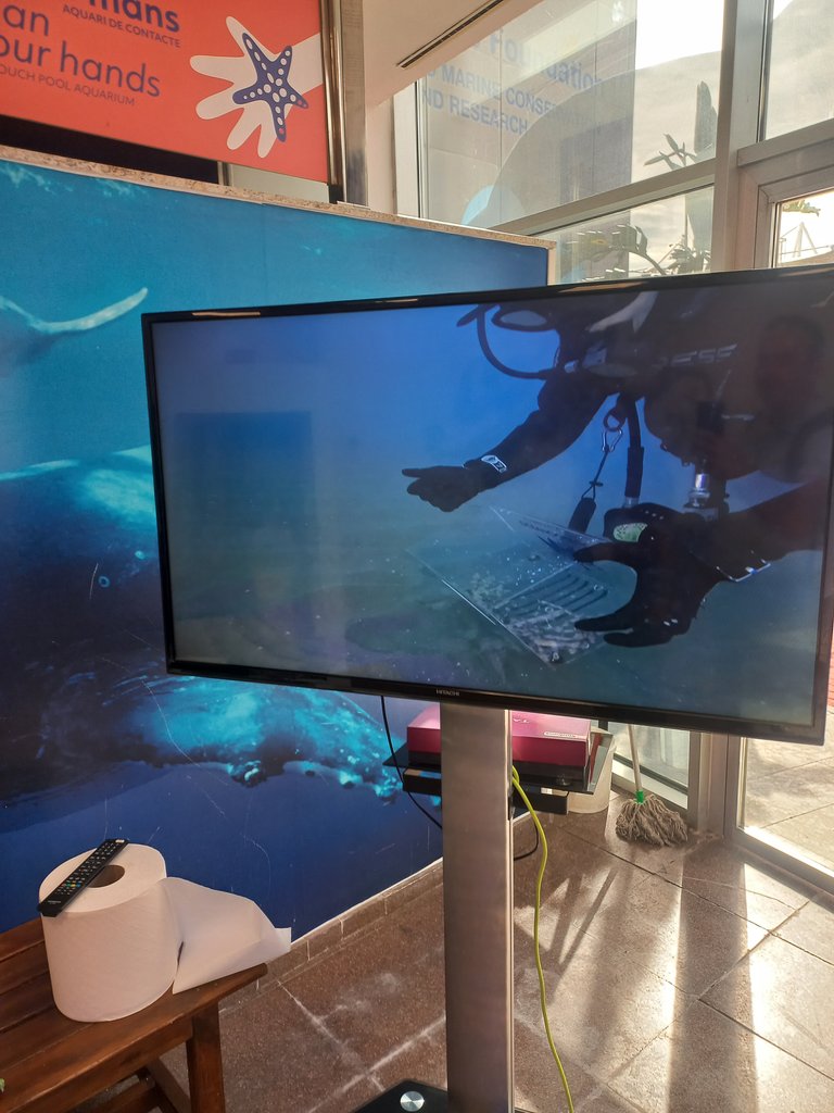 Visuals explicatius.