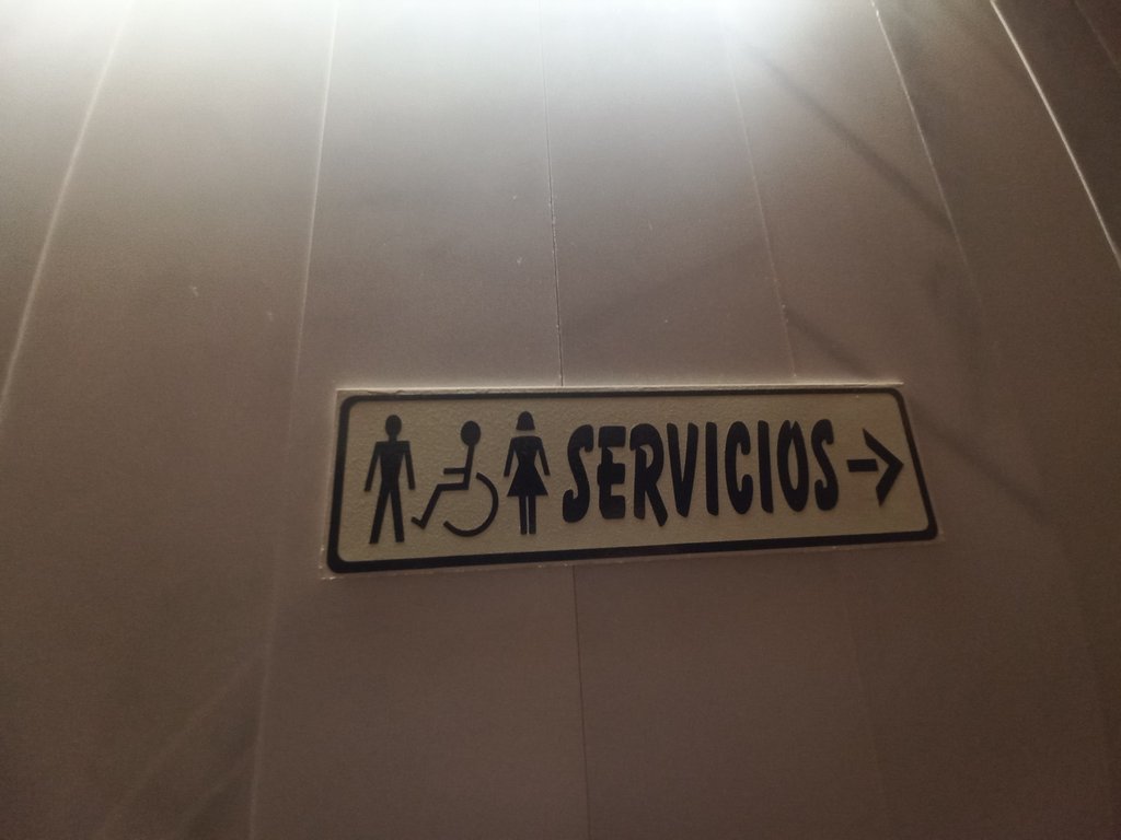 Disponibilidad de módulo adaptado en zona de baños comunes,