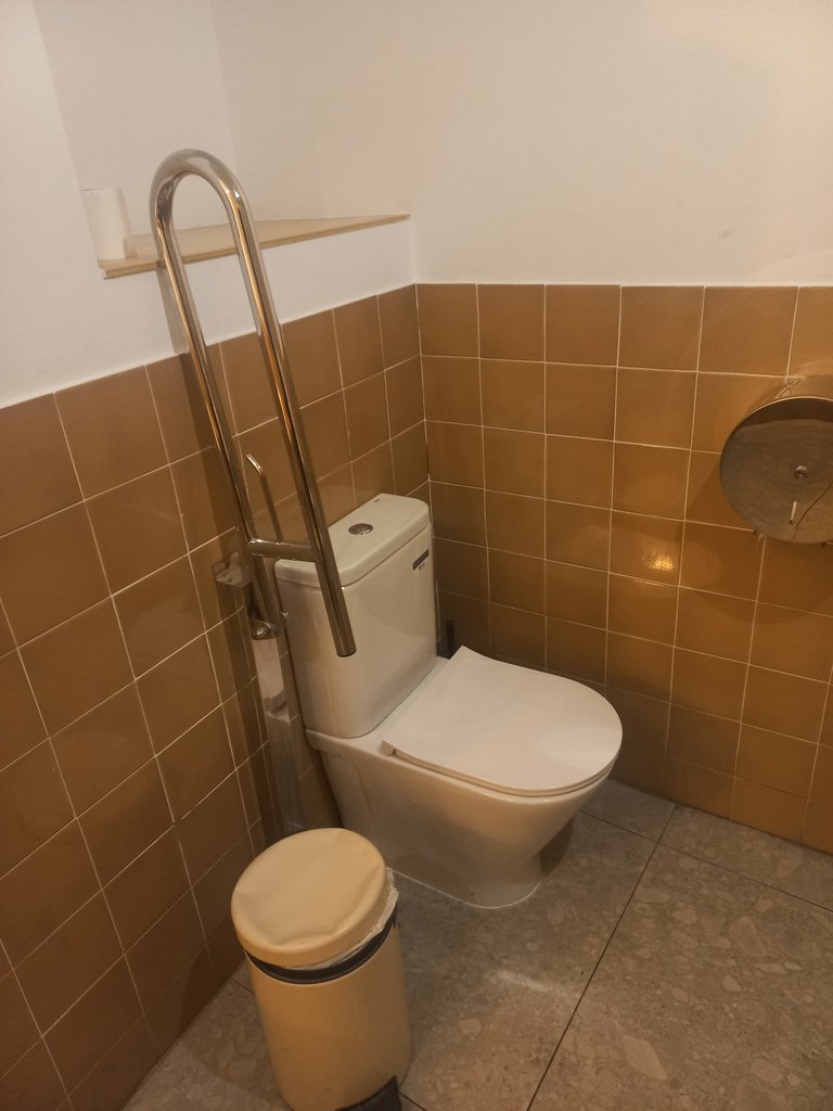 Inodoro con barra abatible.