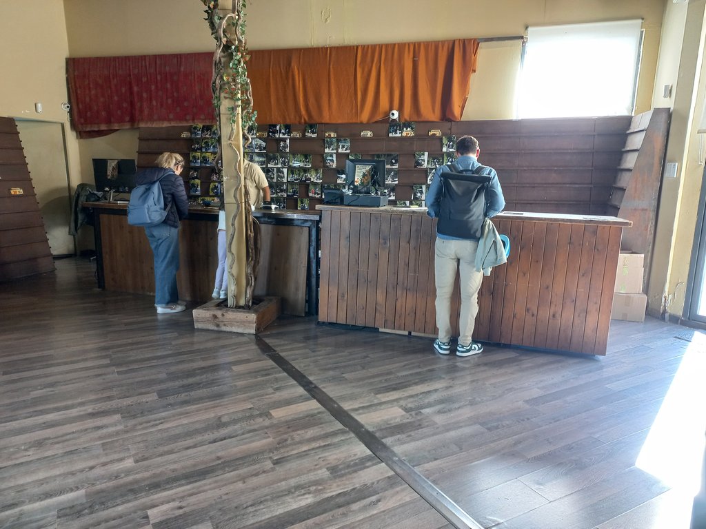 Iluminación homogénea sin zonas de sombra.