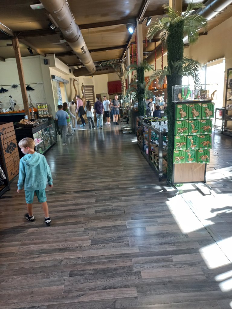 Recorrido definido por disposición del equipamiento y el mobiliario.