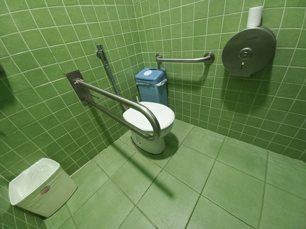 Disponibilitat de barres abatibles en mòdul de bany adaptat i zona de maniobra i transferència lliure d'obstacles.