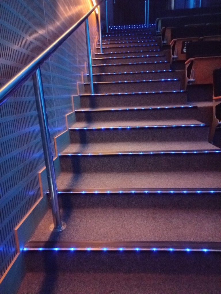 Disponibilitat de pilots lluminosos en perfil d'esglaons per a identificació d'escala.