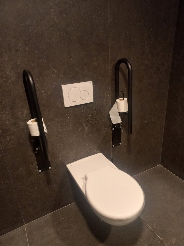 Inodoro equipado de barras abatibles.