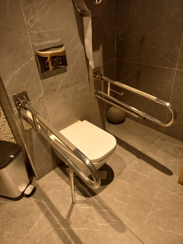 Bany adaptat equipat amb vàter amb barres abatibles.