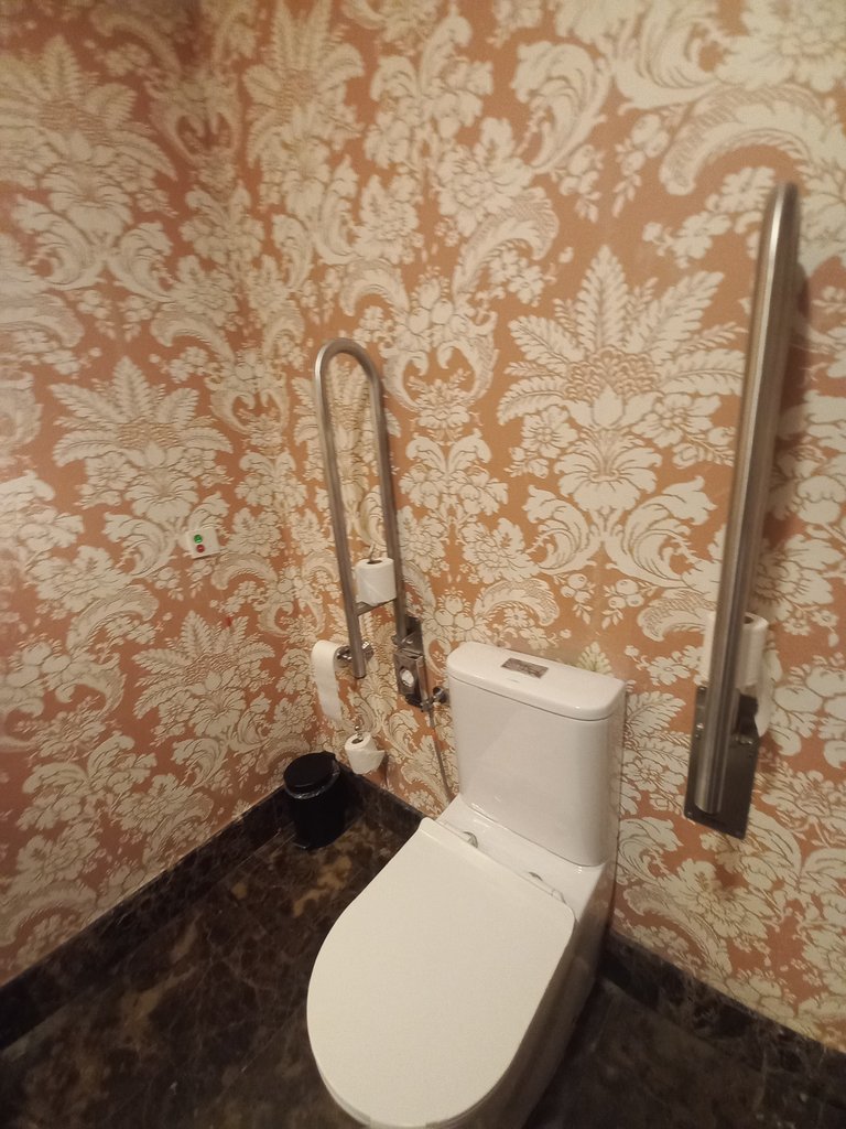 Toilet equipped with folding bars.
