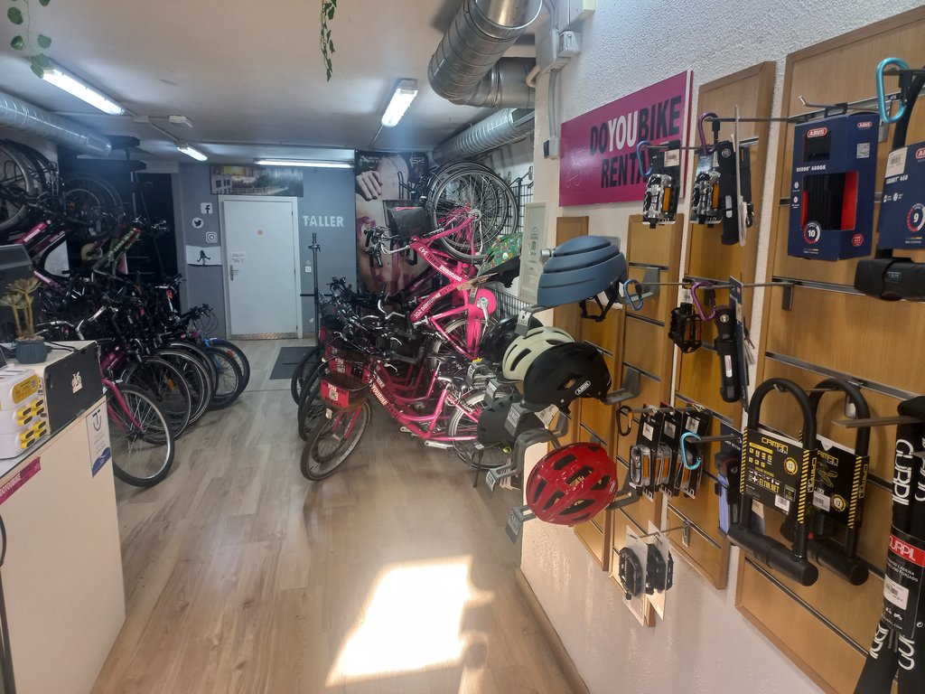 Homogeneous lighting without shadow areas or elements that emit reflections.