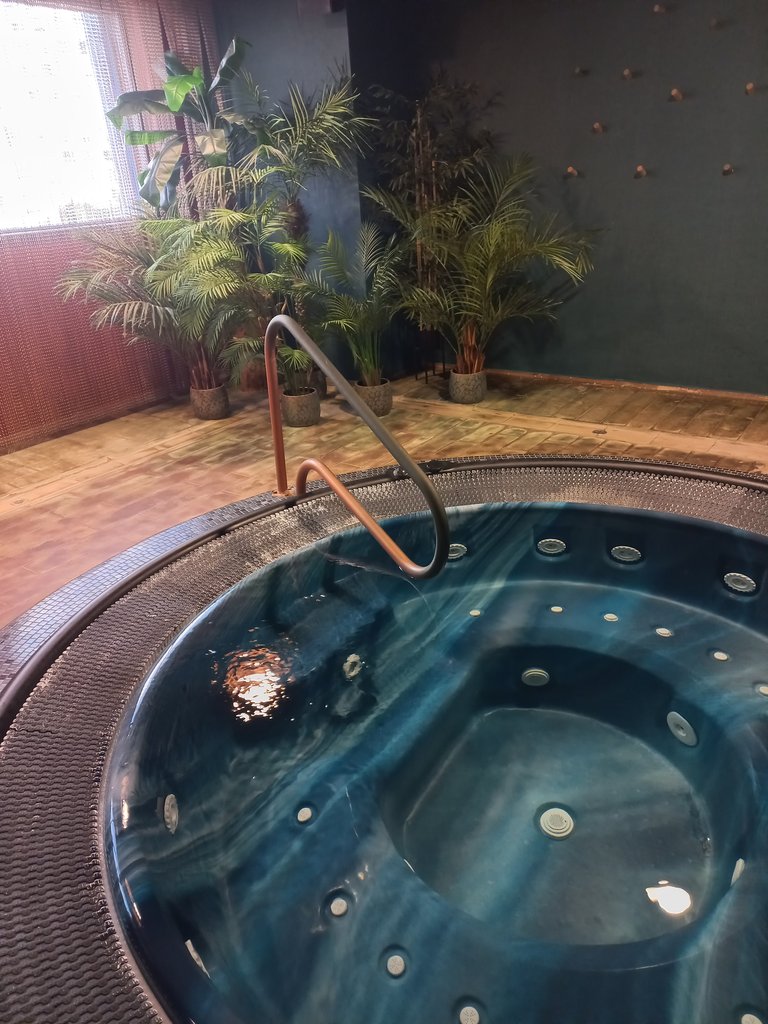 Disponibilidad de pasamanos en zona de baño.