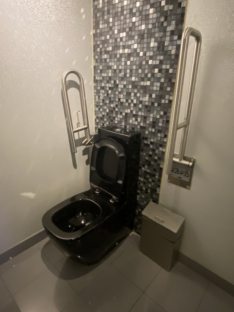 WC accesible con barras de apoyo en baños adaptados comunes.