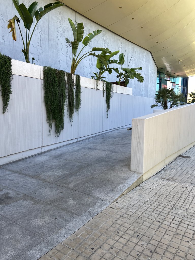 Rampa de acceso adyacente a la entrada principal.