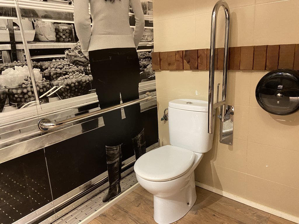 WC accesible con barras de apoyo en baños adaptados comunes.