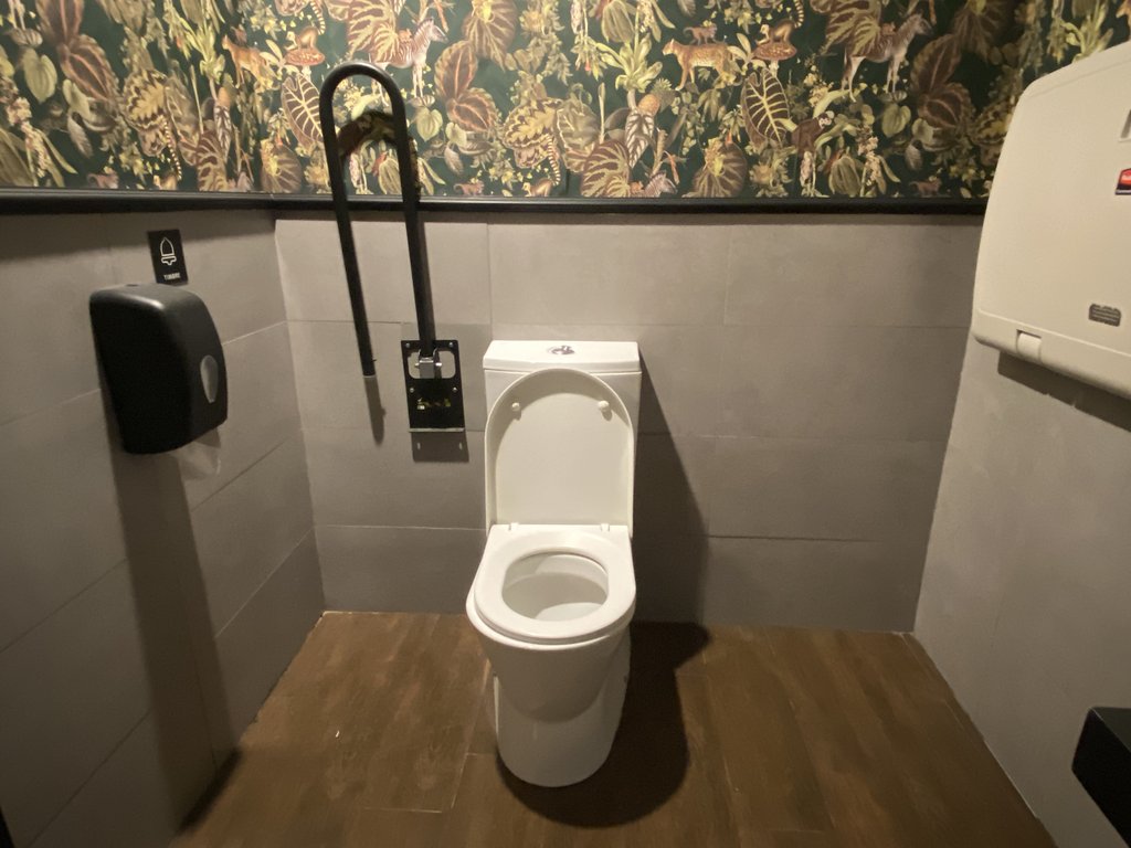 WC accesible con barra de apoyo en baños adaptados comunes.