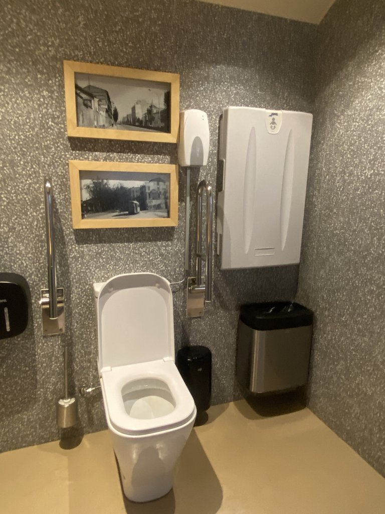 Accessible WC with support bars and baby changing station in common adapted bathrooms.