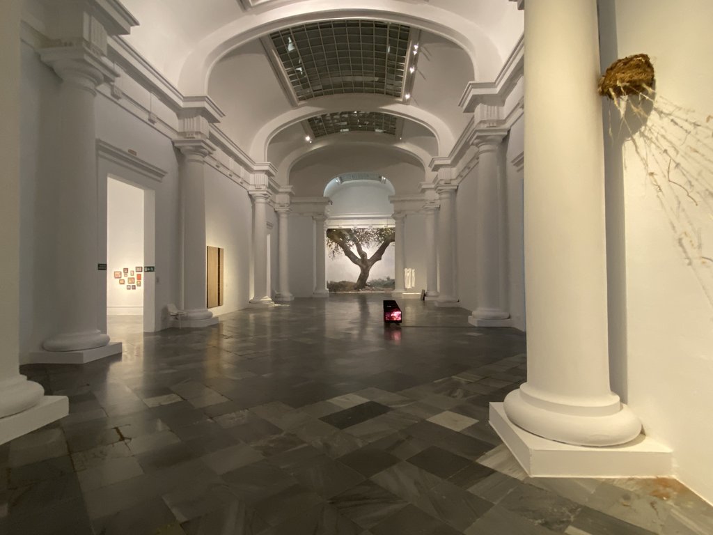 Salas expositivas accesibles con suficiente espacio para deambular a lo largo de las salas y una correcta iluminación.