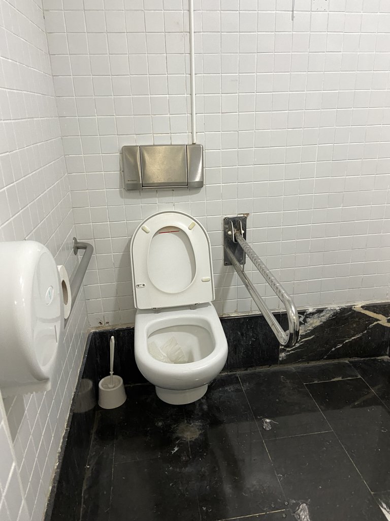 WC accessible amb barres de suport en banys adaptats comuns del Mercat de Colom.
