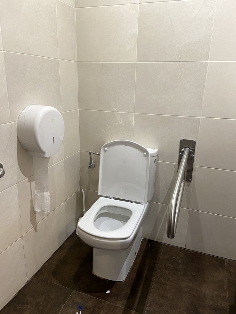 WC accesible con barra de apoyo.