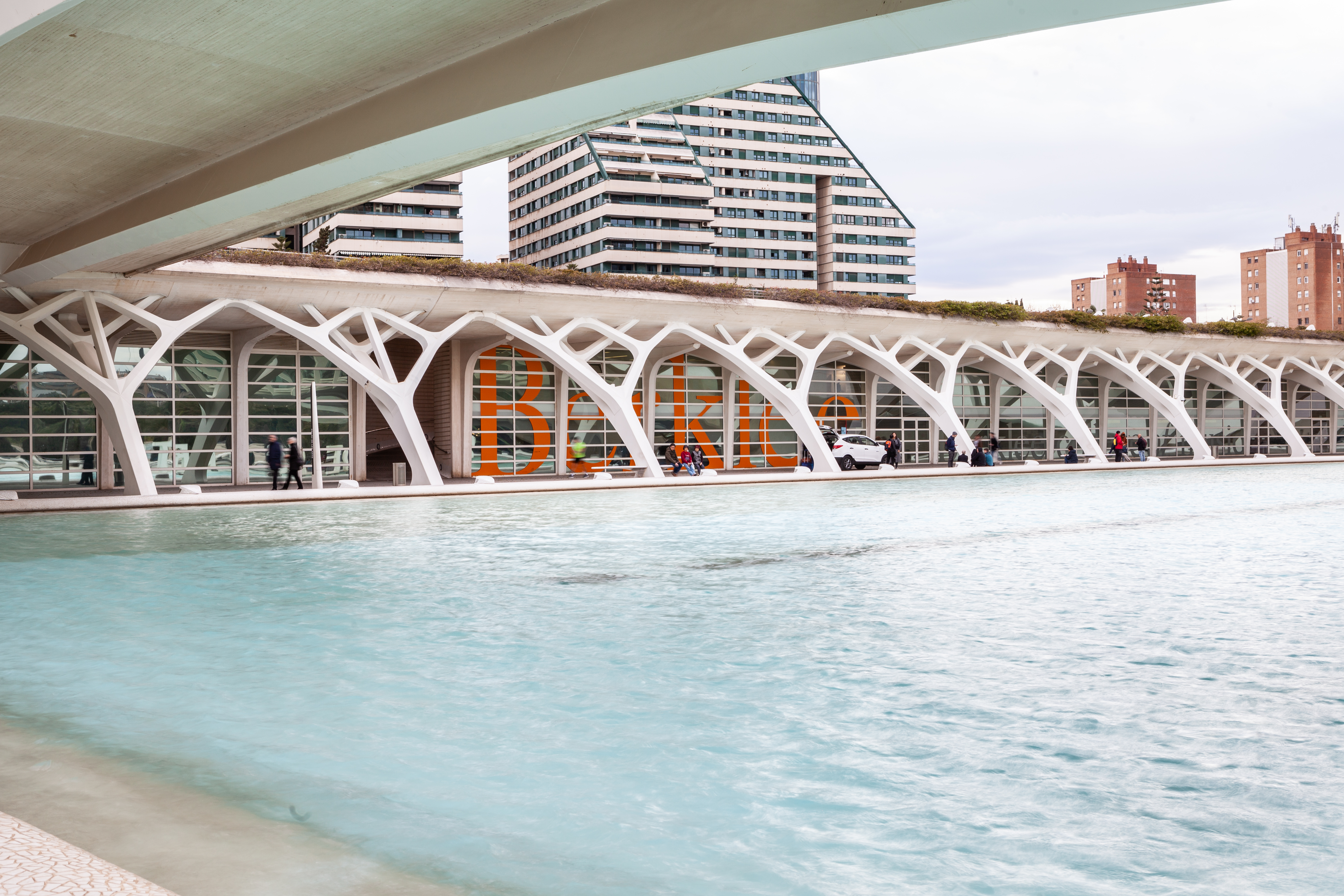 piscina exterior museu de les ciencies