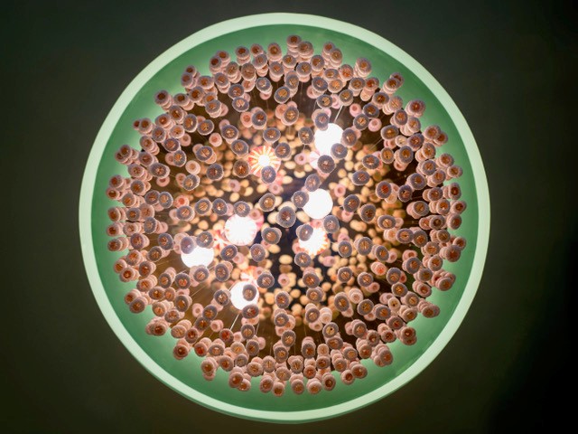 Puerta del Mar Valencia