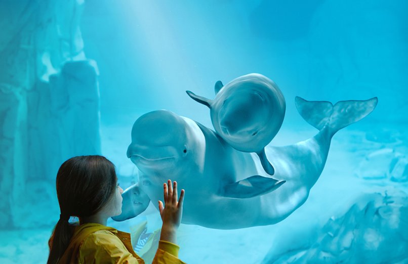 Oceanografic Valéncia