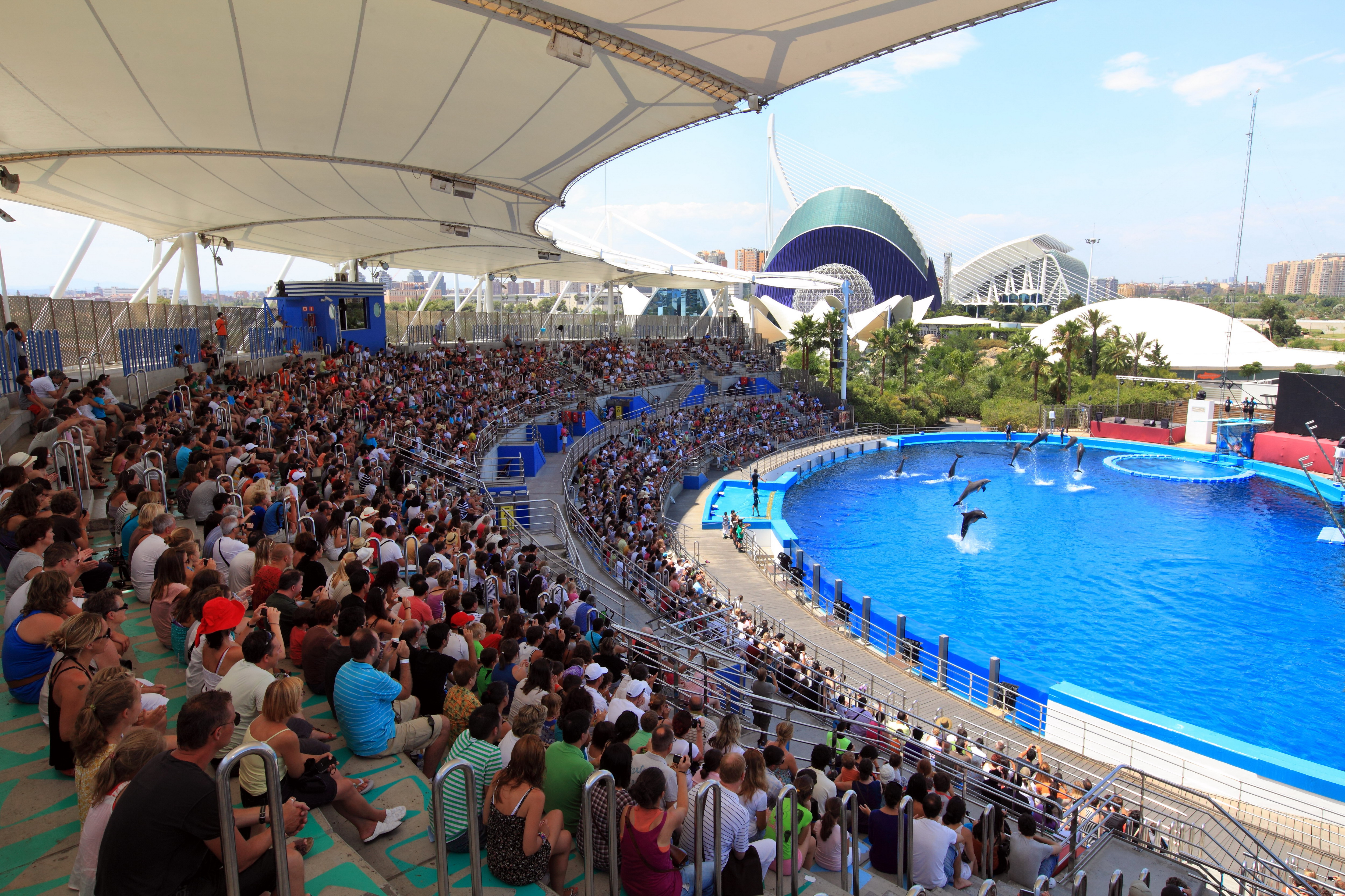 Oceanografic delfines CAC